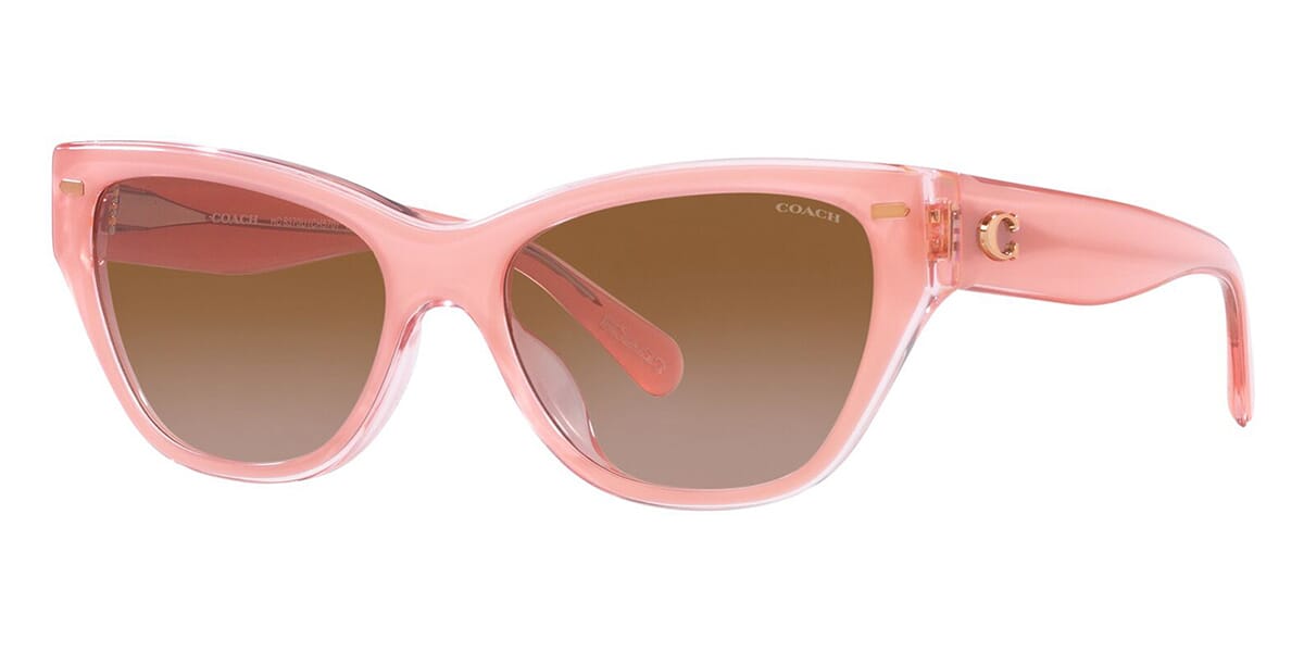 Coach Cat Eye Sunglasses: A Comprehensive Guide