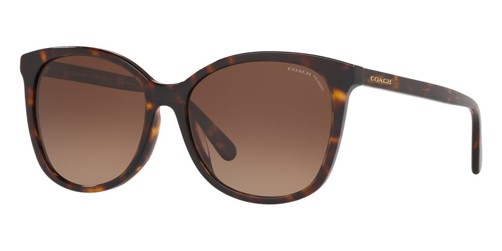 Coach HC8271U L1101 5120/T5 Polarised Sunglasses