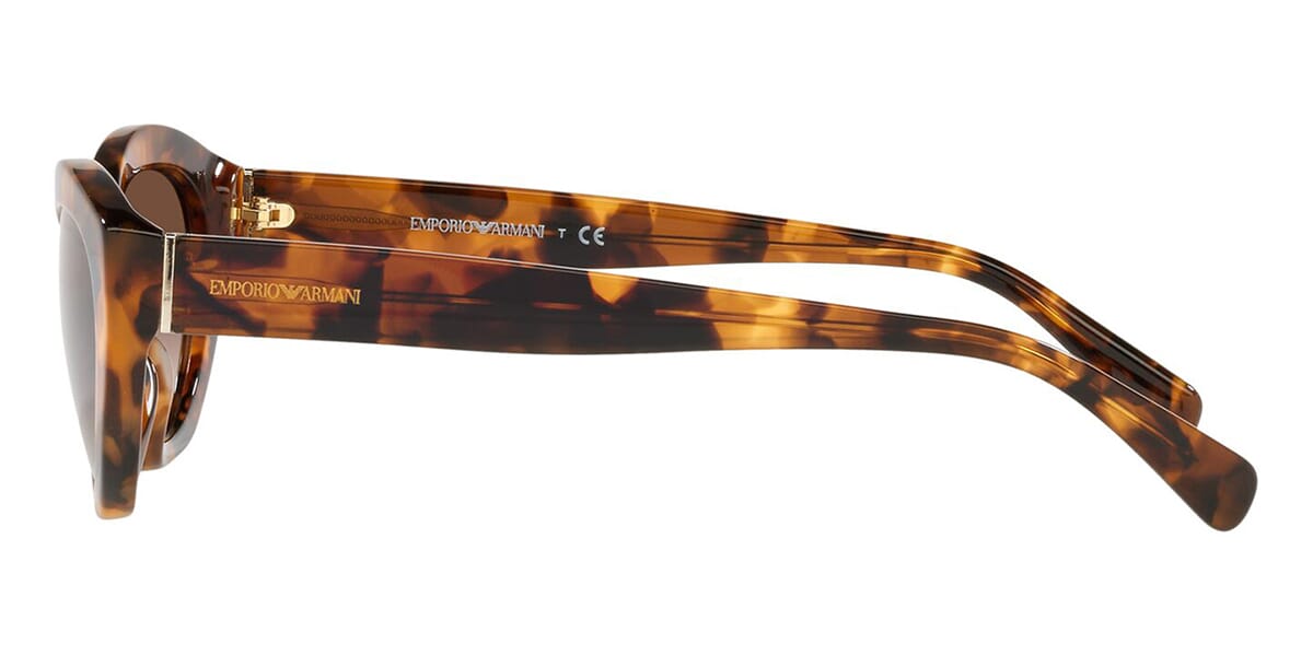 Emporio armani deals tortoise shell glasses