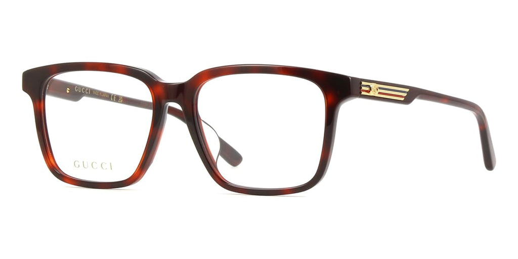 Gucci GG1293OA 002 Glasses