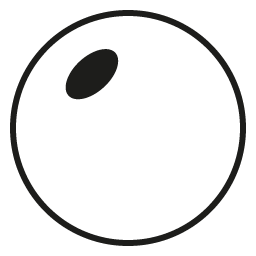 Transitions® Light Responsive Treatment