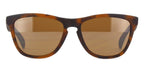oakley frogskins oo9013 c5 prizm