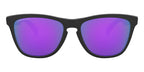 oakley frogskins oo9013 h6 prizm