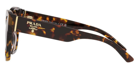 Prada PR 17ZS VAU6S1 Sunglasses