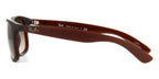 ray ban andy rb 4202 6073 13