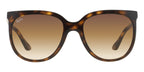 ray ban cats 1000 rb 4126 71051