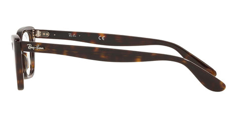 Ray-Ban Lady Burbank RB 5499 2012 Glasses