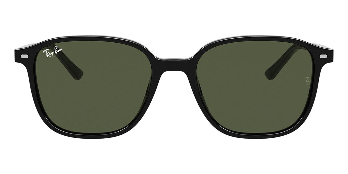 ray ban leonard rb 2193 90131