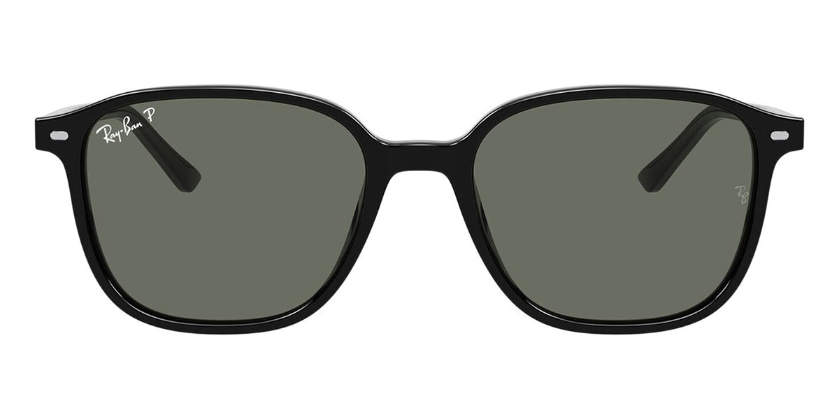 ray ban leonard rb 2193 90158 polarised