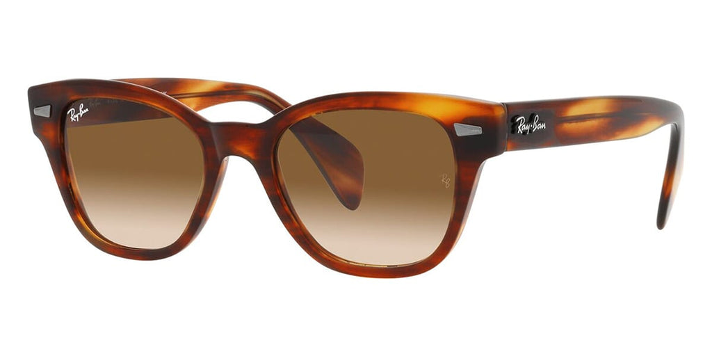 Ray-Ban RB 0880S 954/51 Sunglasses