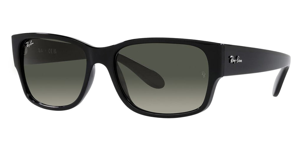 Ray-Ban RB 4388 601/71 Sunglasses