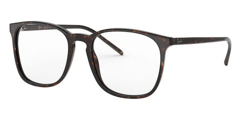 Ray-Ban RB 5387 2012 Glasses