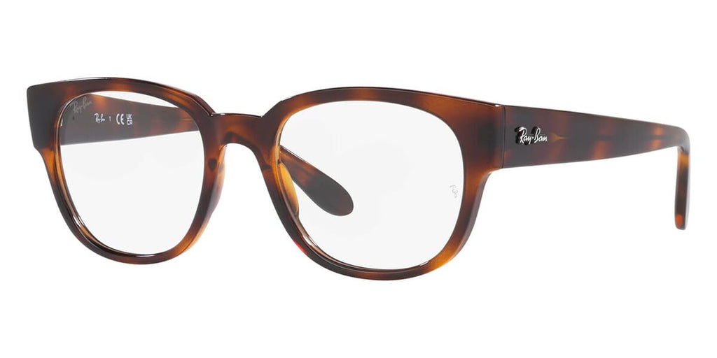 Ray-Ban RB 7210 2012 Glasses