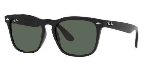 Ray-Ban Steve RB 4487 6629/71 Sunglasses