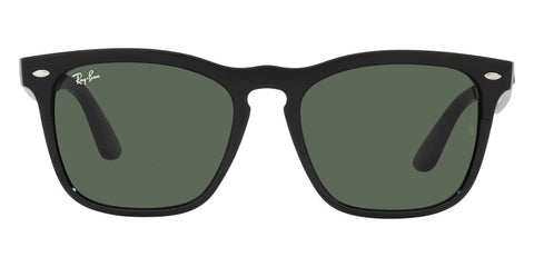 Ray-Ban Steve RB 4487 6629/71 Sunglasses