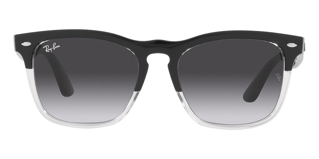 Ray-Ban Steve RB 4487 6630/8G Sunglasses