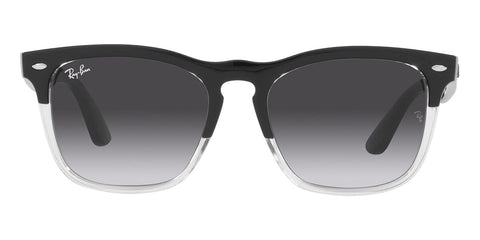 Ray-Ban Steve RB 4487 6630/8G Sunglasses