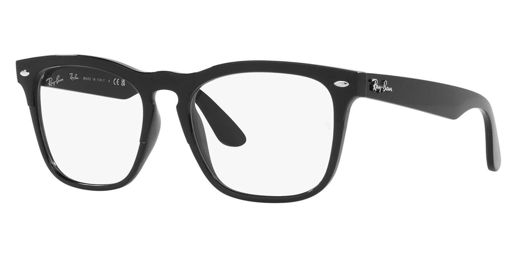 Ray-Ban Steve RB 4487V 8192 Glasses