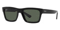 Ray-Ban Warren RB 4396 6677/71 Sunglasses