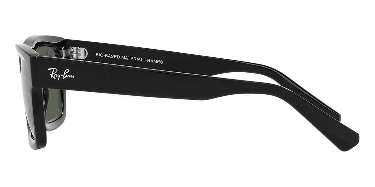 Ray-Ban Warren RB 4396 6677/71 Sunglasses
