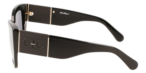 Salvatore Ferragamo SF1045S 001 Sunglasses