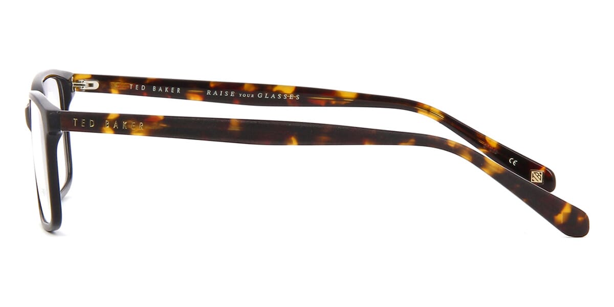 Ted Baker Luca 8118 001 Glasses