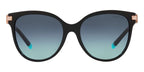 Tiffany & Co TF4193B 8001/9S Sunglasses