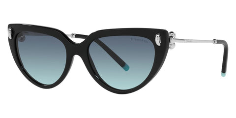 Tiffany & Co TF4195 8001/9S Sunglasses