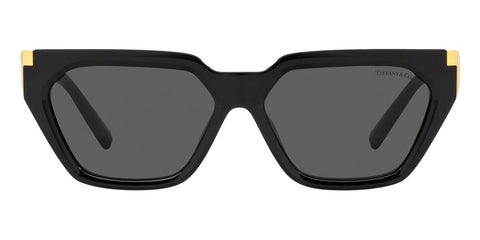 Tiffany & Co TF4205U 8001/S4 Sunglasses